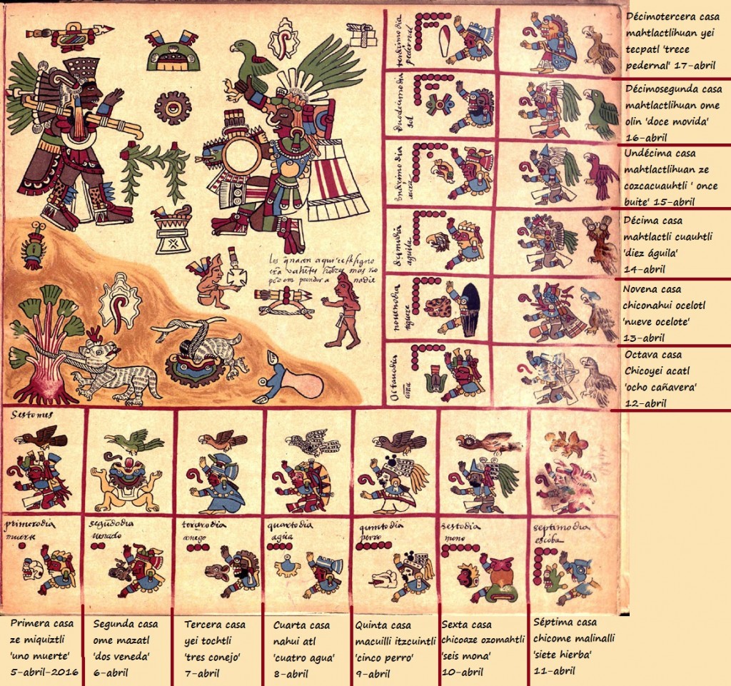 Borbonicus_06-ze-miquiztli